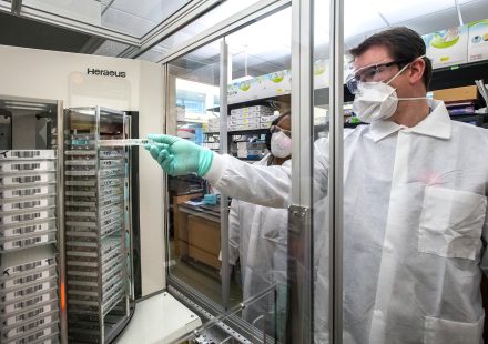 Mituri despre sănătate și medicină