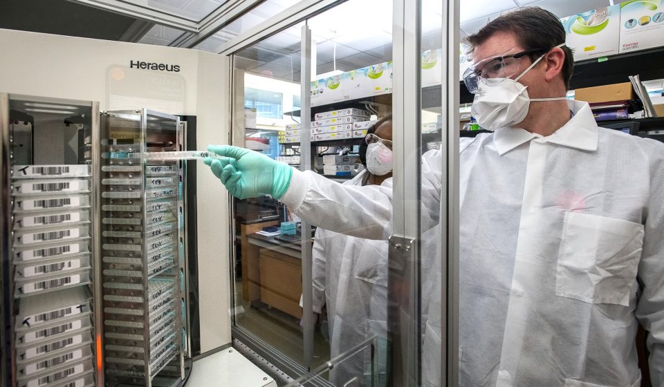 Mituri despre sănătate și medicină