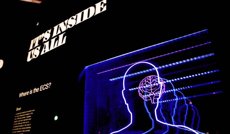 8 semne că ești o persoană sănătoasă psihic