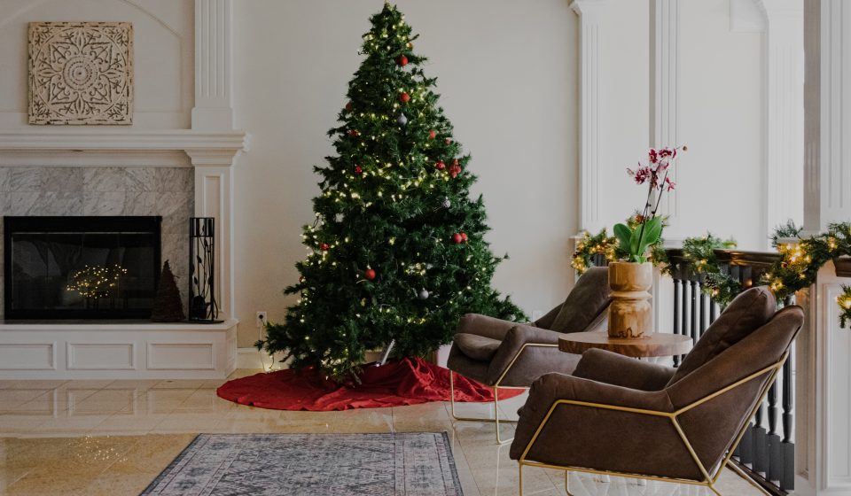 Cum să alegi un brad de Crăciun:  ghid pentru pomi naturali și artificiali