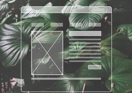 Ghid al blogului. Ce categorie ți se potrivește?