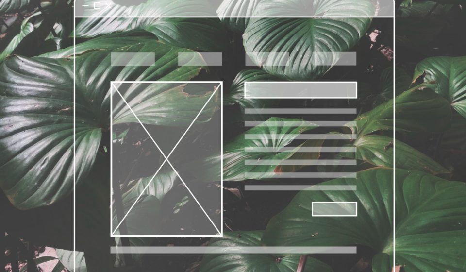 Ghid al blogului. Ce categorie ți se potrivește?