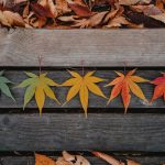 Cum să-ți determini tipul de culoare în doar 2 minute?